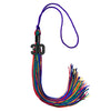 Rainbow Graduation Tassel with Black Bling Charm by Wholesale Grad Supply
