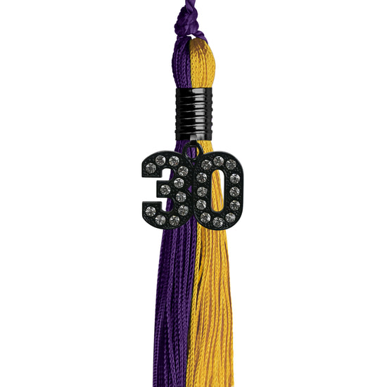 Purple/Bright Gold Graduation Tassel with Black Bling Charm by Wholesale Grad Supply