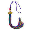 Rainbow Graduation Tassel with Gold Date Drop - Wholesale Grad Supply