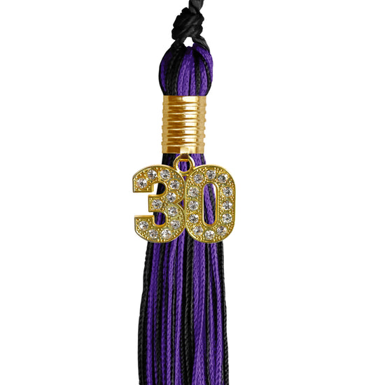 Black/Purple Mixed Color Graduation Tassel with Gold Bling Charm by Wholesale Grad Supply