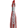 Red/Silver Mixed Color Graduation Tassel with Stacked Silver Date Drop by Wholesale Grad Supply