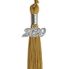 Antique Gold graduation tassel 2029 secondary