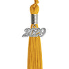 Gold graduation tassel 2029 secondary