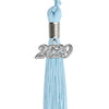 Light Blue graduation tassel 2029 secondary