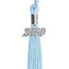 Light Blue graduation tassel 2030 secondary