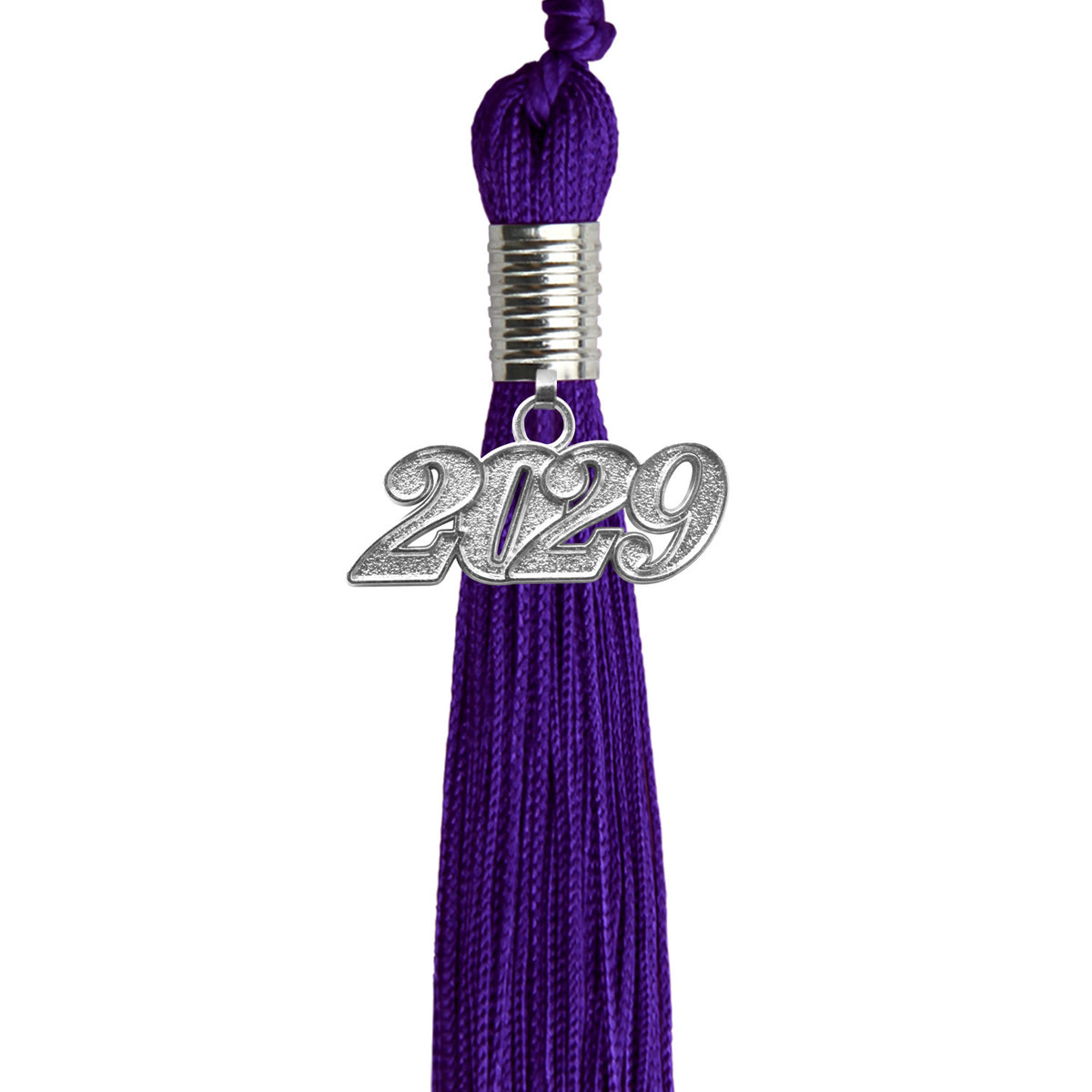 Purple graduation tassel 2029 secondary