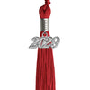 Red graduation tassel 2029 secondary