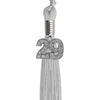 Silver Graduation Tassel with Silver Bling Charm 2029