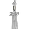 Silver graduation tassel 2029 secondary