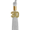 Silver Graduation Tassel with Gold Bling Charm by Wholesale Grad Supply