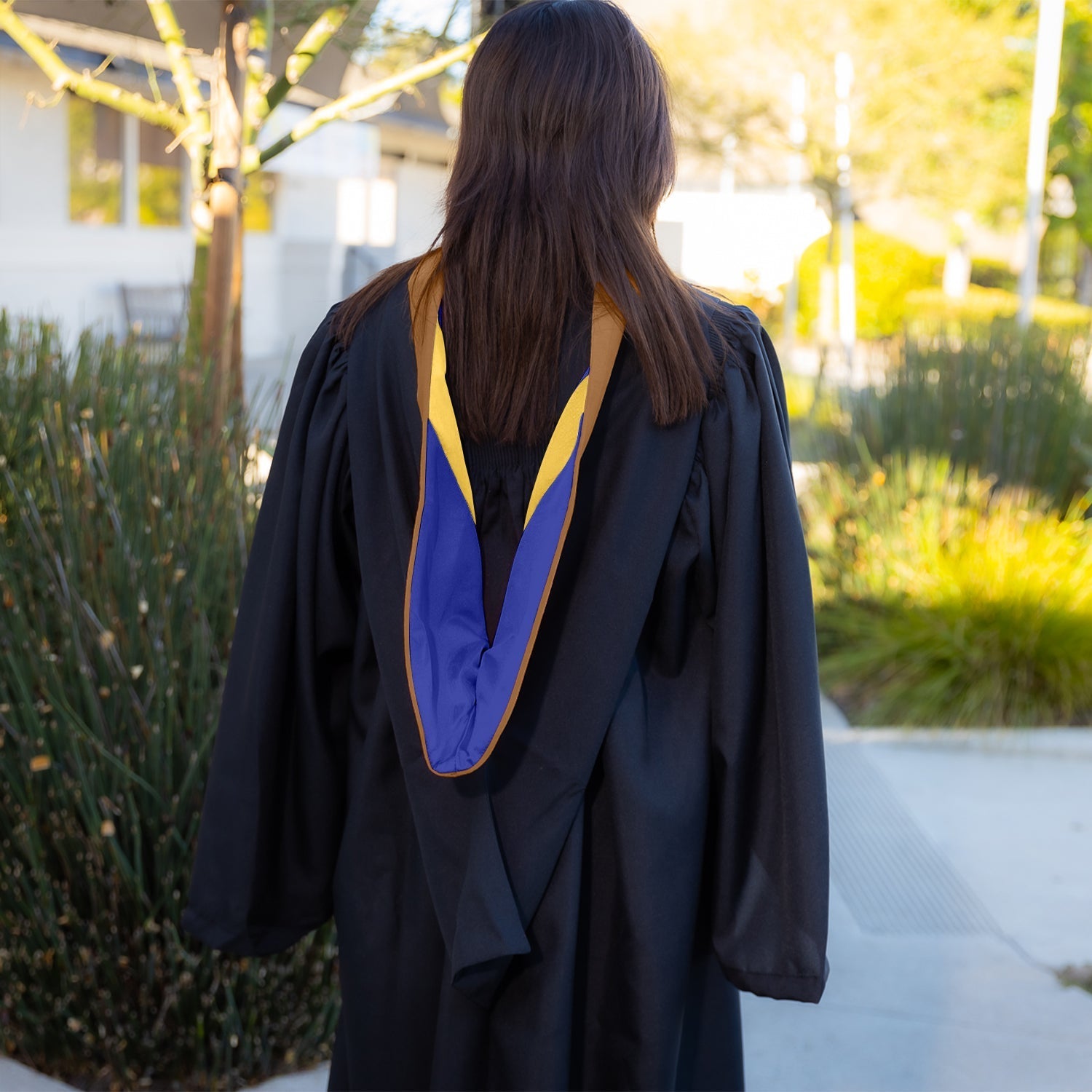 Bachelors Hood For Business, Accounting, Commerce, Industrial, Labor Relations - Drab/Royal Blue/Gold by Wholesale Grad Supply
