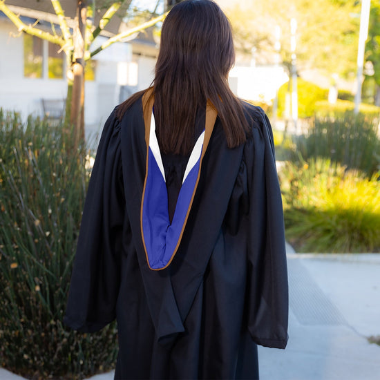 Bachelors Hood For Business, Accounting, Commerce, Industrial, Labor Relations - Drab/Royal Blue/White by Wholesale Grad Supply