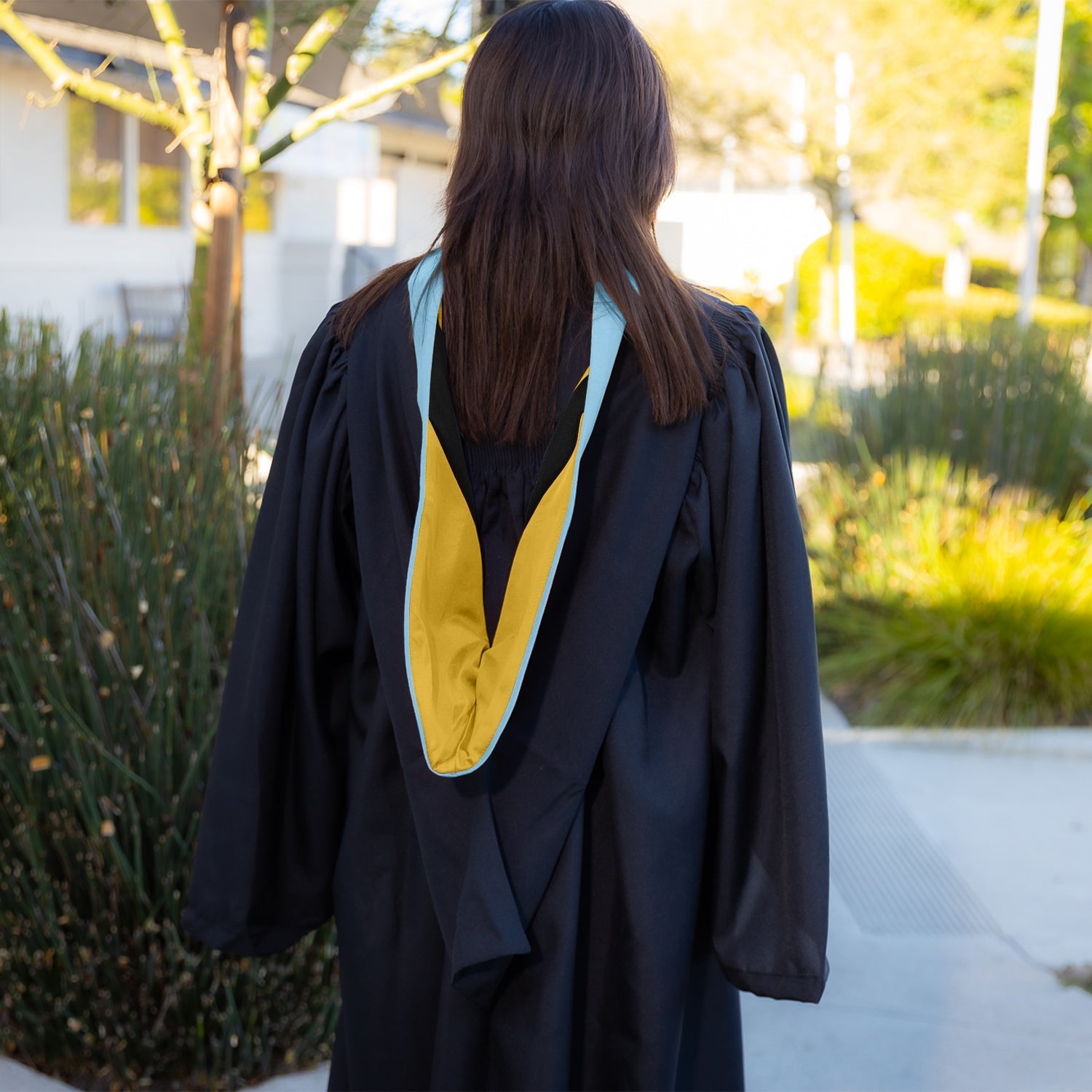 Bachelors Hood For Education, Counseling & Guidance, Arts in Education - Light Blue/Gold/Black by Wholesale Grad Supply