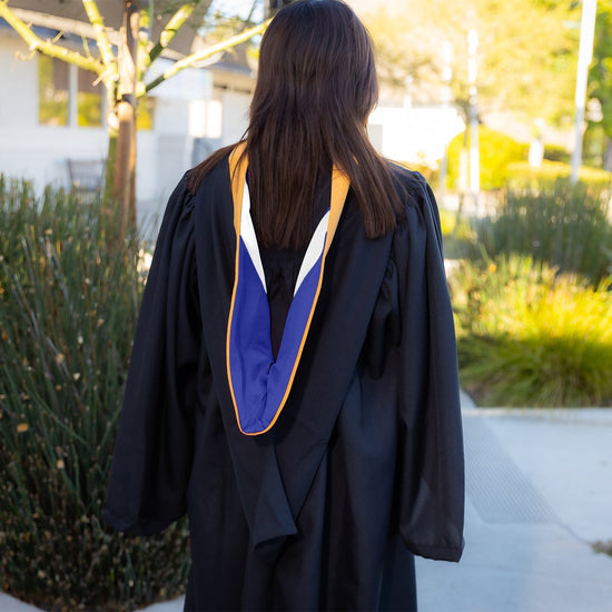 Bachelors Hood For Nursing - Apricot/Royal Blue/White by Wholesale Grad Supply