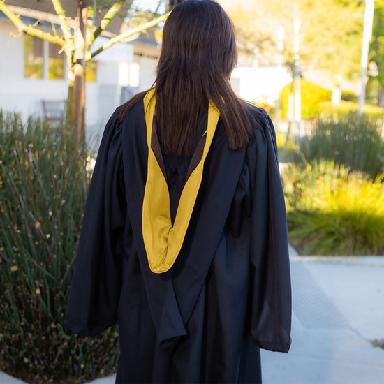 Bachelors Hood For Science, Mathematics, Political Science - Gold/Gold/Brown by Wholesale Grad Supply