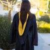 Bachelors Hood For Science, Mathematics, Political Science - Gold/Gold/Brown by Wholesale Grad Supply