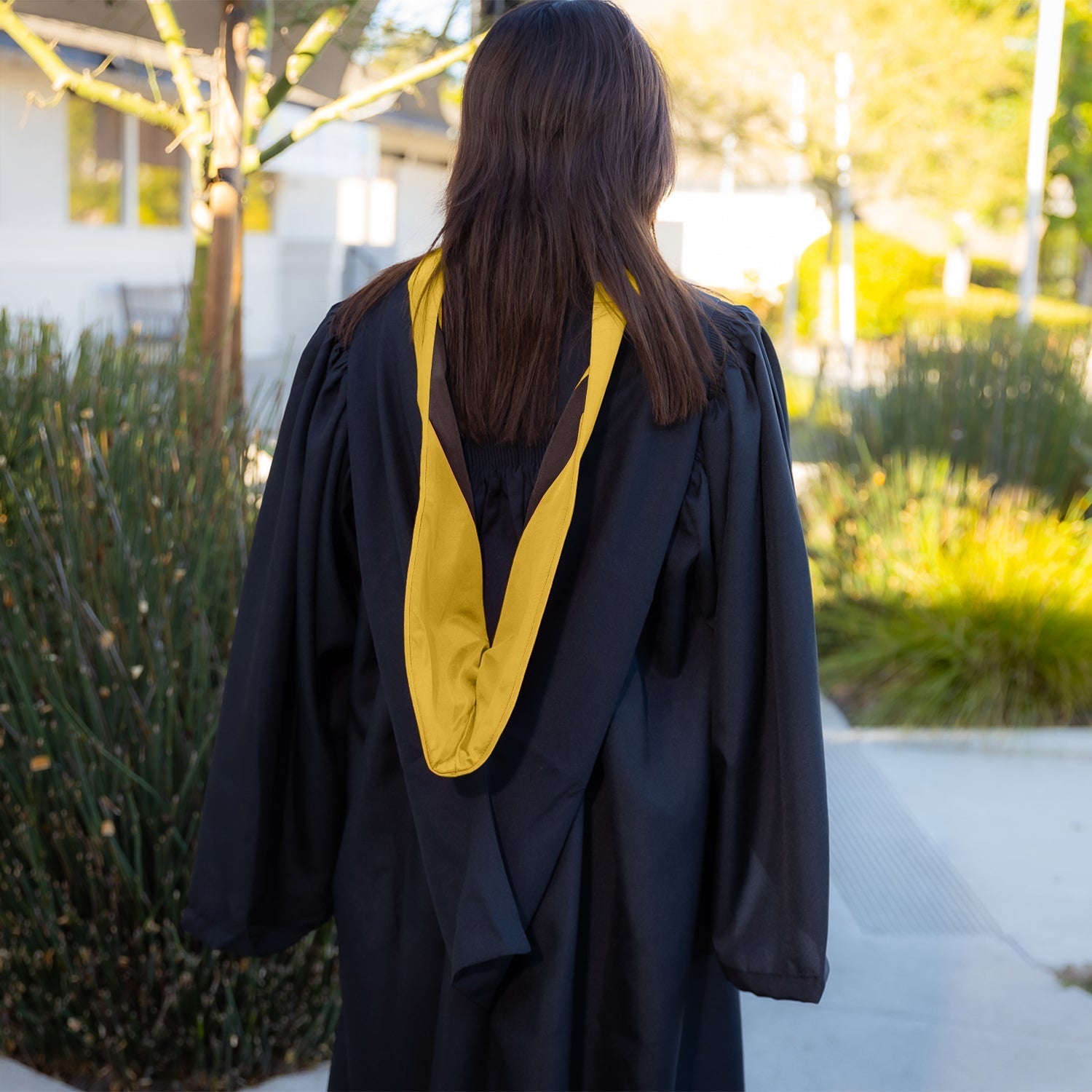 Bachelors Hood For Science, Mathematics, Political Science - Gold/Gold/Brown by Wholesale Grad Supply
