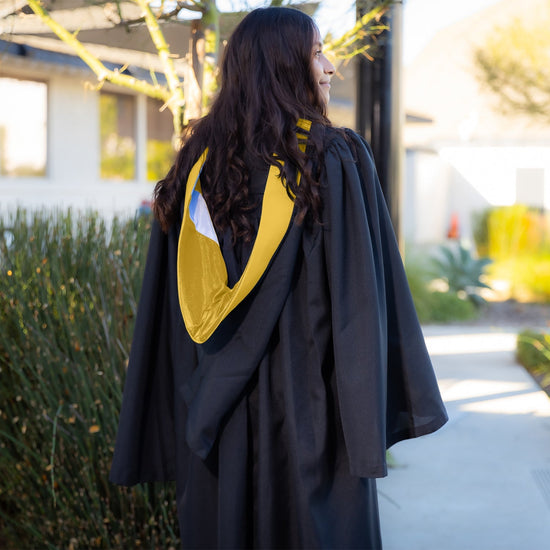 Bachelors Hood For Science, Mathematics, Political Science - Gold/Gold/White by Wholesale Grad Supply