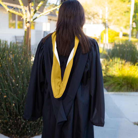 Bachelors Hood For Science, Mathematics, Political Science - Gold/Gold/White by Wholesale Grad Supply