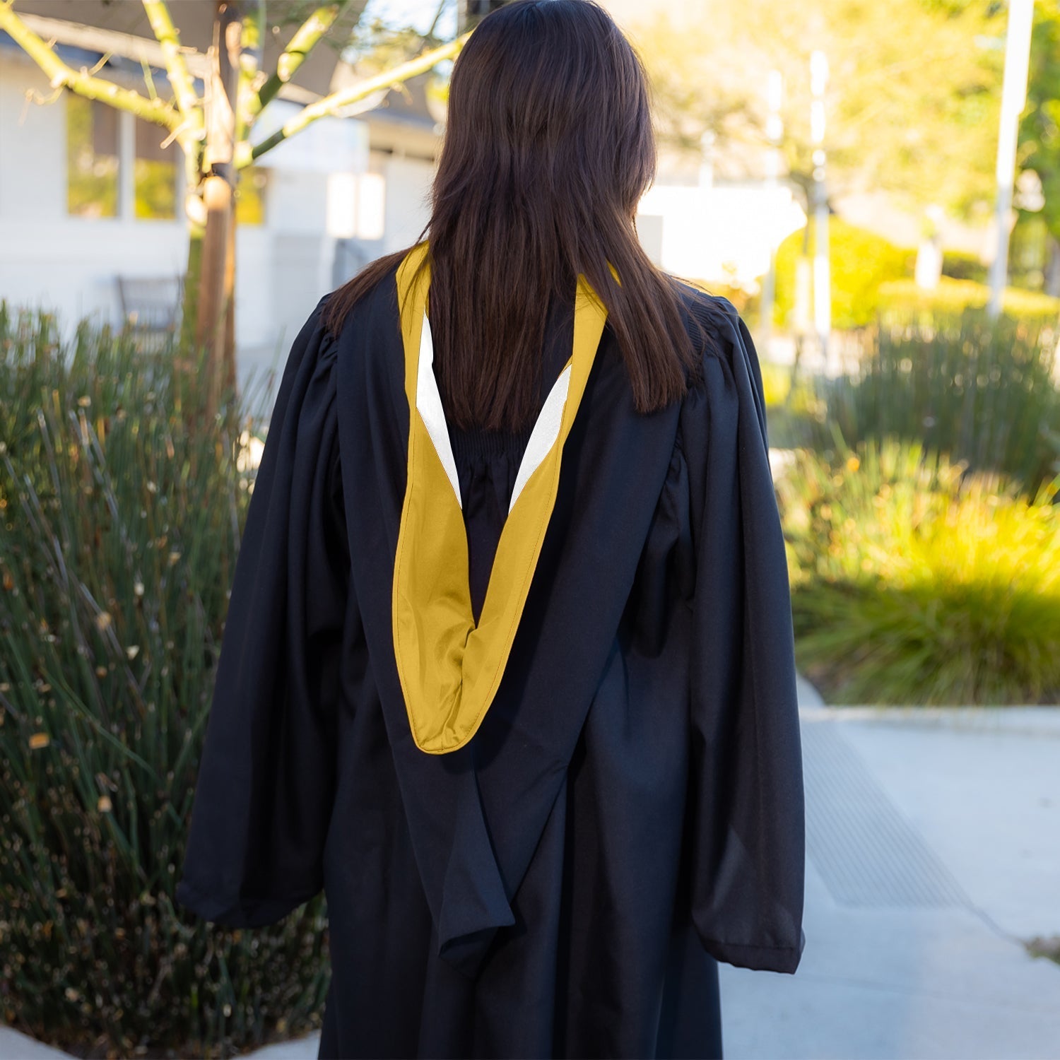 Bachelors Hood For Science, Mathematics, Political Science - Gold/Gold/White by Wholesale Grad Supply