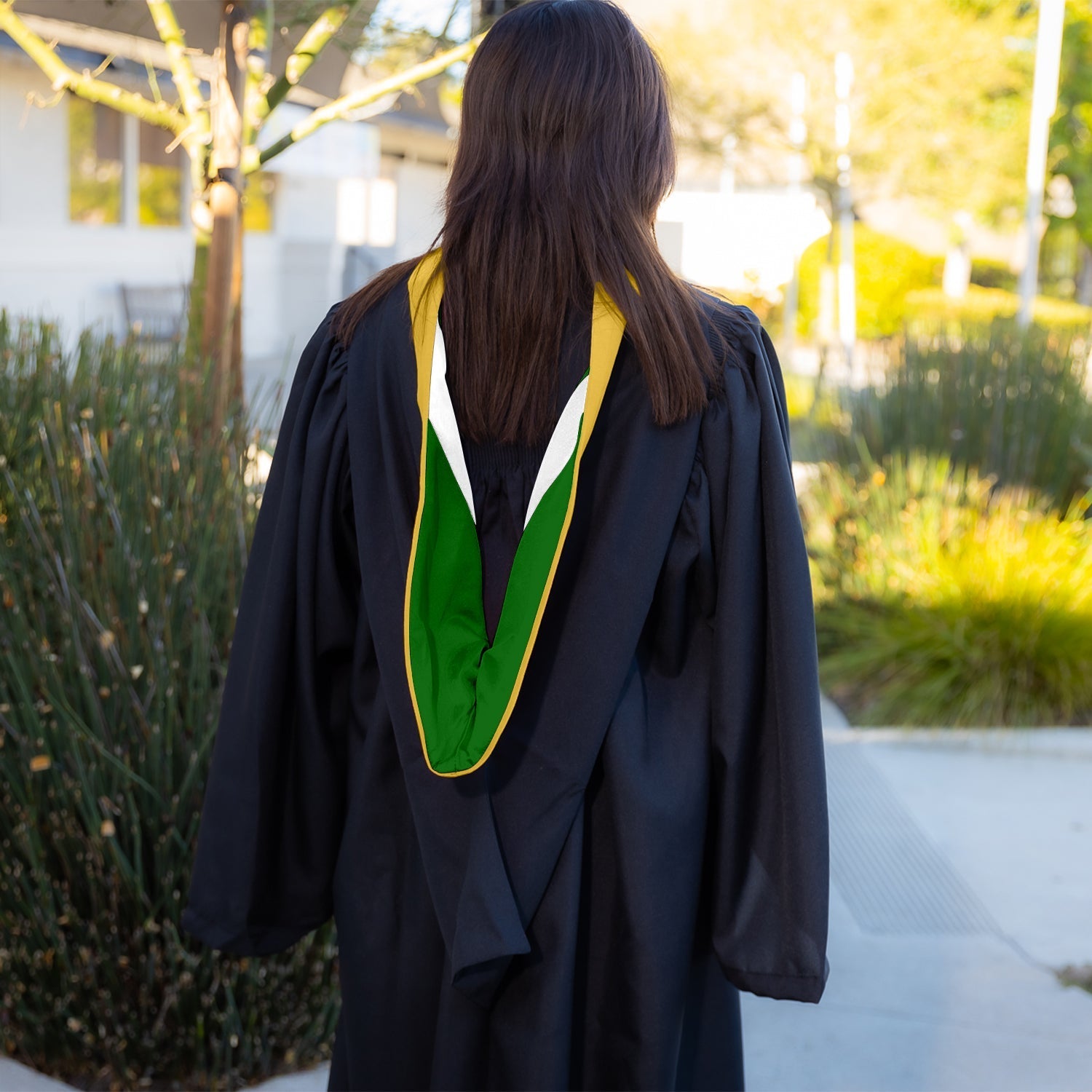 Bachelors Hood For Science, Mathematics, Political Science - Gold/Green/White by Wholesale Grad Supply
