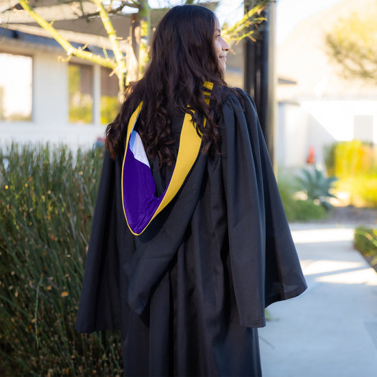 Bachelors Hood For Science, Mathematics, Political Science - Gold/Purple/White by Wholesale Grad Supply