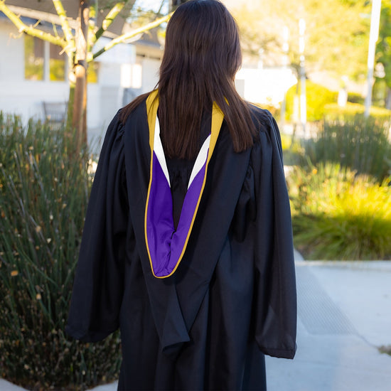 Bachelors Hood For Science, Mathematics, Political Science - Gold/Purple/White by Wholesale Grad Supply