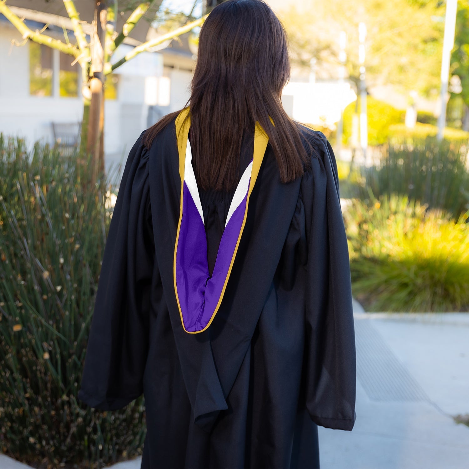 Bachelors Hood For Science, Mathematics, Political Science - Gold/Purple/White by Wholesale Grad Supply