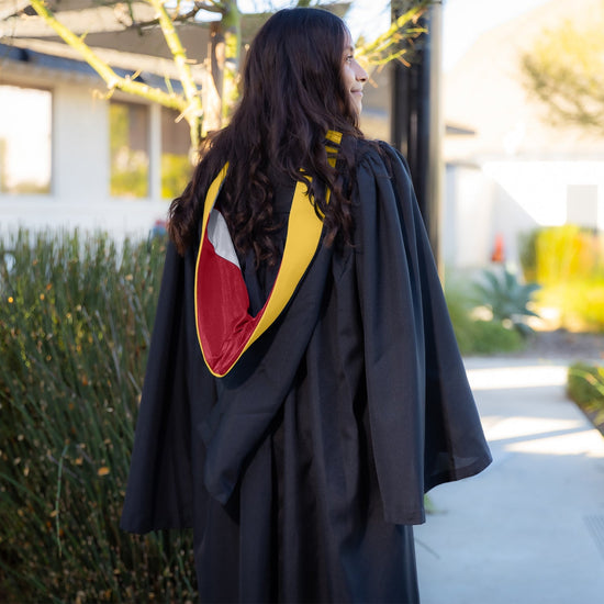 Bachelors Hood For Science, Mathematics, Political Science - Gold/Red/Silver by Wholesale Grad Supply