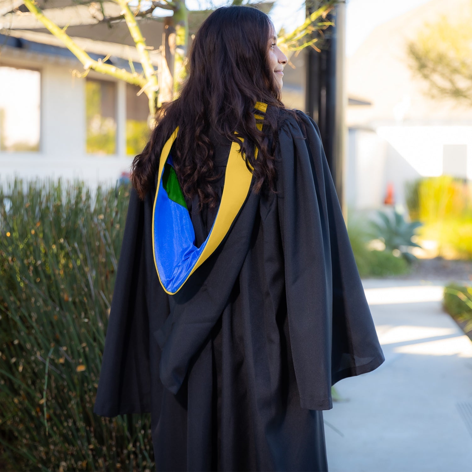 Bachelors Hood For Science, Mathematics, Political Science - Gold/Royal Blue/Green by Wholesale Grad Supply