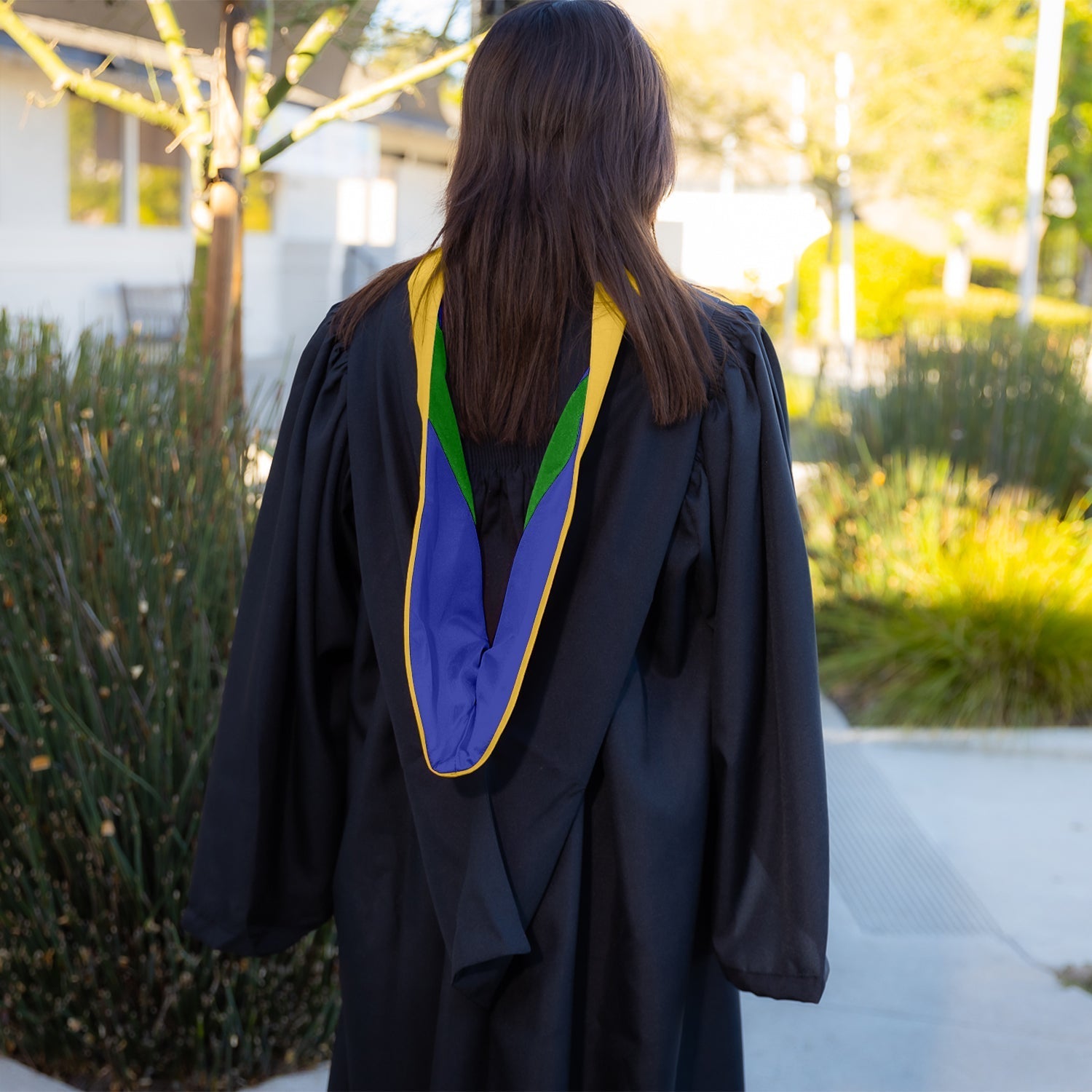 Bachelors Hood For Science, Mathematics, Political Science - Gold/Royal Blue/Green by Wholesale Grad Supply