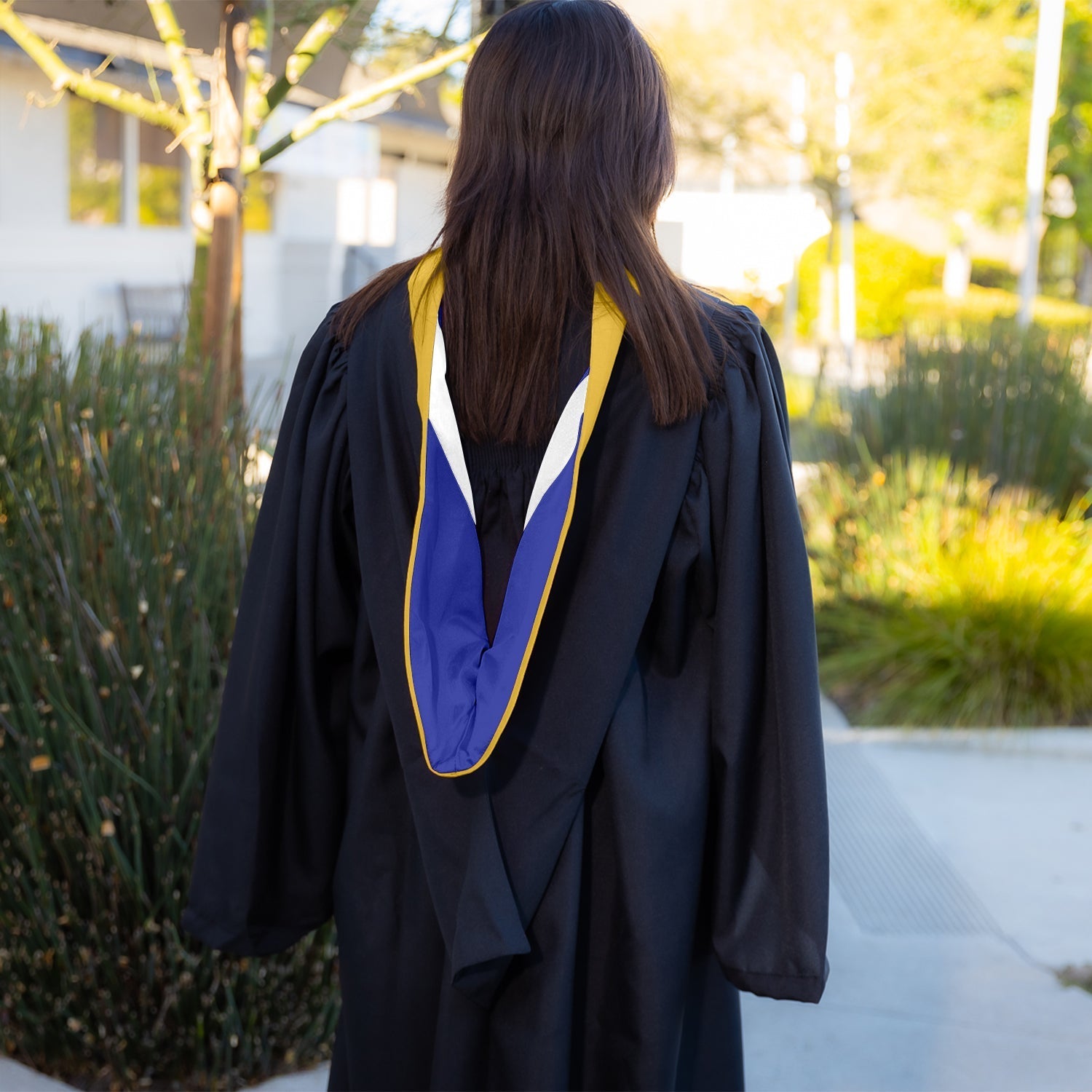 Bachelors Hood For Science, Mathematics, Political Science - Gold/Royal Blue/White by Wholesale Grad Supply