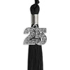 Black Graduation Tassel with Silver Bling Charm by Wholesale Grad Supply