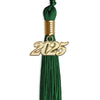Green Graduation Tassel with Gold Bling Charm by Wholesale Grad Supply