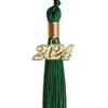 Green Graduation Tassel with Gold Bling Charm by Wholesale Grad Supply
