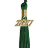 Green Graduation Tassel with Gold Bling Charm by Wholesale Grad Supply