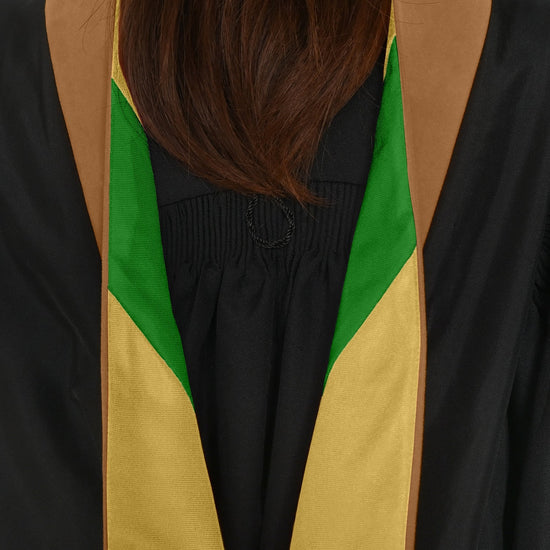 Masters Hood For Business, Accounting, Commerce, Industrial, Labor Relations - Drab/Antique Gold/Green by Wholesale Grad Supply