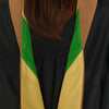 Masters Hood For Business, Accounting, Commerce, Industrial, Labor Relations - Drab/Antique Gold/Green by Wholesale Grad Supply