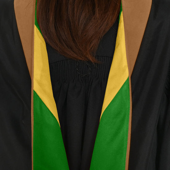 Masters Hood For Business, Accounting, Commerce, Industrial, Labor Relations - Drab/Green/Gold by Wholesale Grad Supply