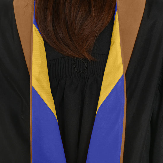 Masters Hood For Business, Accounting, Commerce, Industrial, Labor Relations - Drab/Royal Blue/Gold by Wholesale Grad Supply
