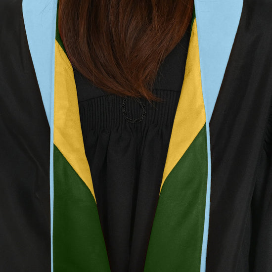Masters Hood For Education, Counseling & Guidance, Arts in Education - Light Blue/Forest Green/Gold by Wholesale Grad Supply