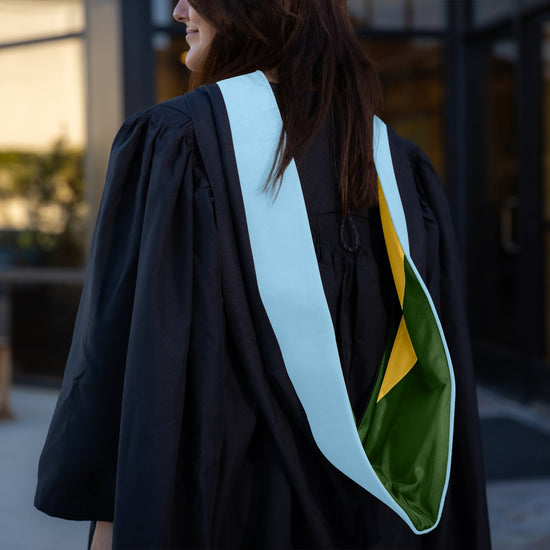 Masters Hood For Education, Counseling & Guidance, Arts in Education - Light Blue/Forest Green/Gold by Wholesale Grad Supply