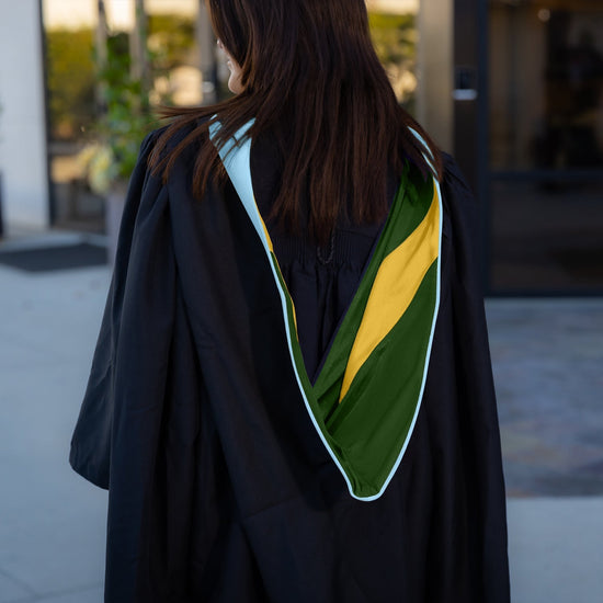 Masters Hood For Education, Counseling & Guidance, Arts in Education - Light Blue/Forest Green/Gold by Wholesale Grad Supply