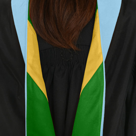 Masters Hood For Education, Counseling & Guidance, Arts in Education - Light Blue/Green/Gold by Wholesale Grad Supply