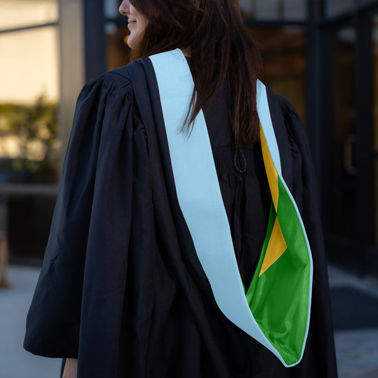 Masters Hood For Education, Counseling & Guidance, Arts in Education - Light Blue/Green/Gold by Wholesale Grad Supply