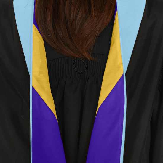 Masters Hood For Education, Counseling & Guidance, Arts in Education - Light Blue/Purple/Gold by Wholesale Grad Supply