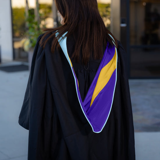 Masters Hood For Education, Counseling & Guidance, Arts in Education - Light Blue/Purple/Gold by Wholesale Grad Supply