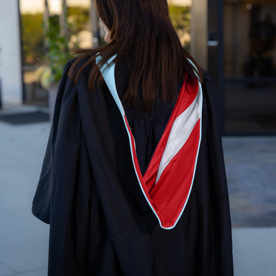 Masters Hood For Education, Counseling & Guidance, Arts in Education - Light Blue/Red/Silver by Wholesale Grad Supply