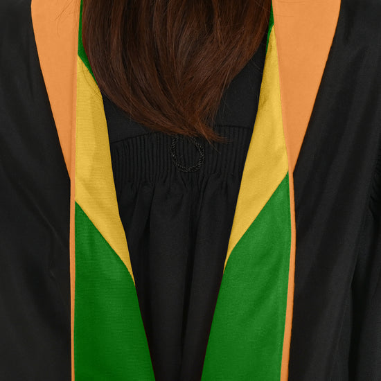 Masters Hood For Engineering, Civil Engineering - Orange/Green/Gold by Wholesale Grad Supply
