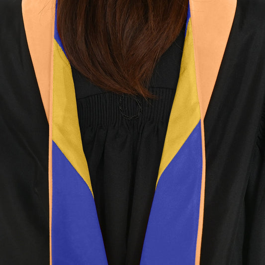 Masters Hood For Nursing - Apricot/Royal Blue/Gold by Wholesale Grad Supply